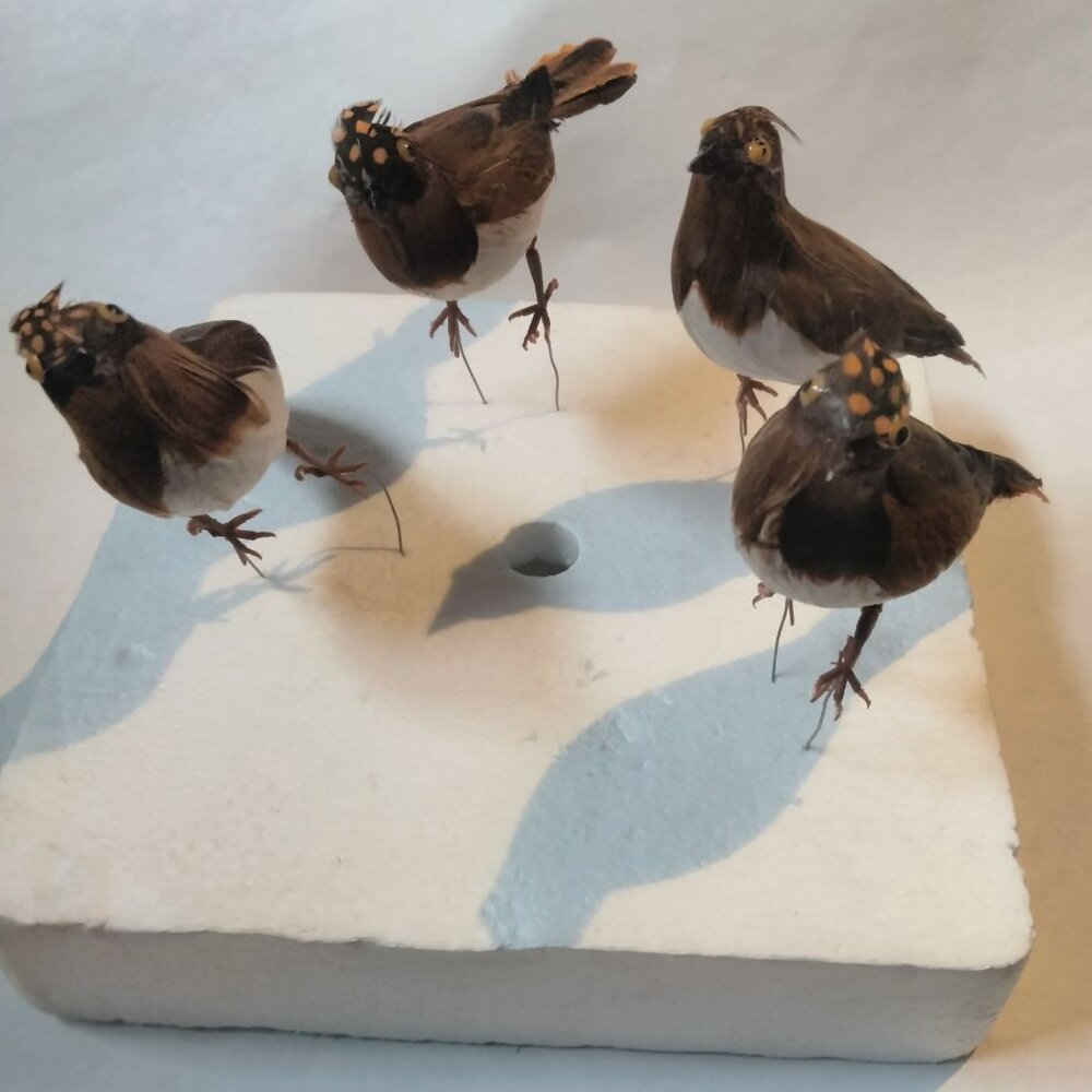 Decorative Tufted Birds Brown Orange Feathers Realistic Craft Display Lot 4 - Picture 7 of 14
